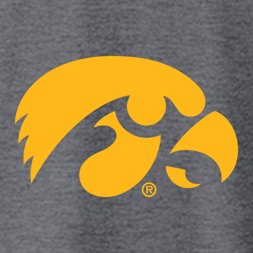 Gildan SoftStyle Fitted T-Shirt -- Dark Heather