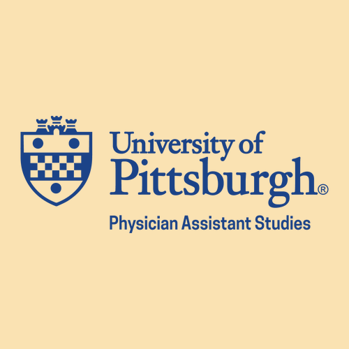 Comfort Colors Ringspun Garment Dyed T Shirt -- Banana