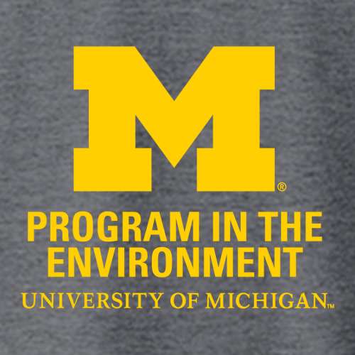 Gildan Heavy Blend Hooded Sweatshirt -- Dark Heather