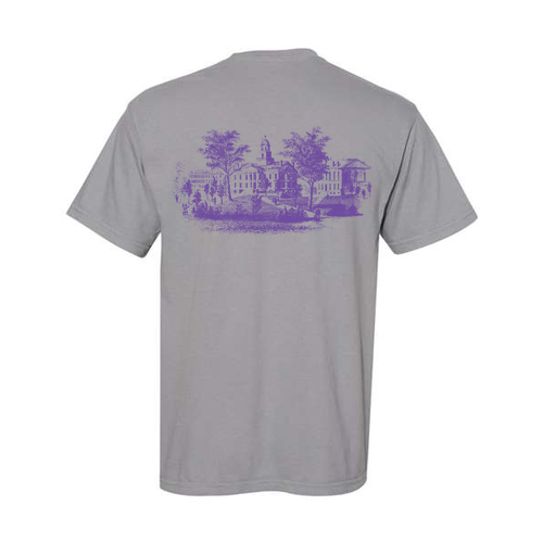 Comfort Colors Ringspun Garment Dyed T Shirt -- Granite