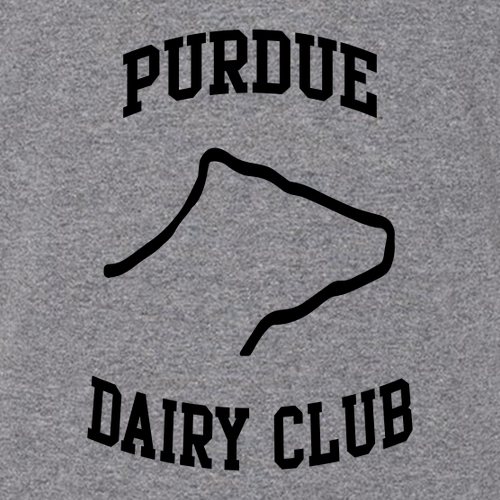 Gildan Heavy Blend Hooded Sweatshirt -- Graphite Heather