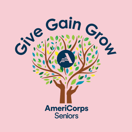 Gildan Heavy Cotton Basic T-Shirt -- Light Pink