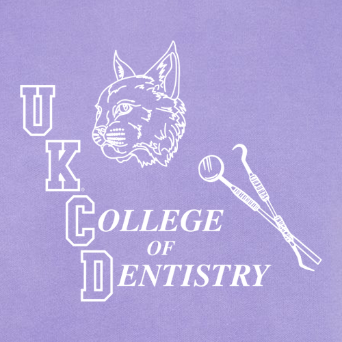 Comfort Colors Crewneck Sweatshirt -- Violet