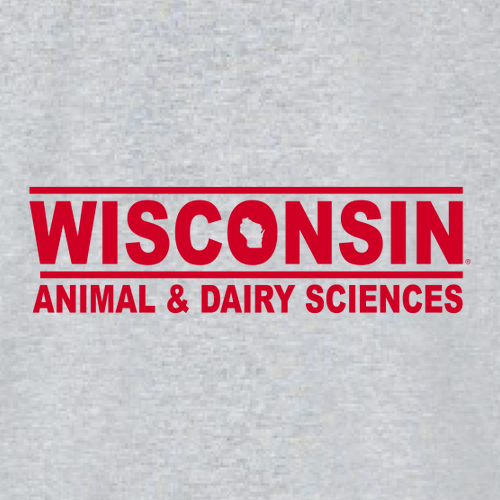 Gildan Heavy Blend Hooded Sweatshirt -- Sport Grey