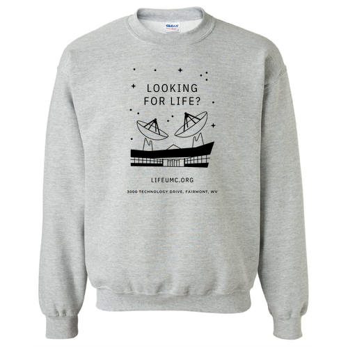 Gildan Heavy Blend Crew Neck Sweatshirt -- Sport Grey