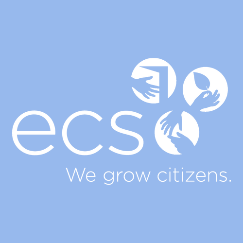 Gildan Heavy Cotton Basic Youth T-Shirt -- Carolina Blue