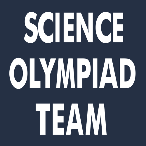 Gildan Ultra Cotton Basic T-Shirt -- Navy