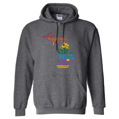 Gildan Heavy Blend Hooded Sweatshirt -- Dark Heather